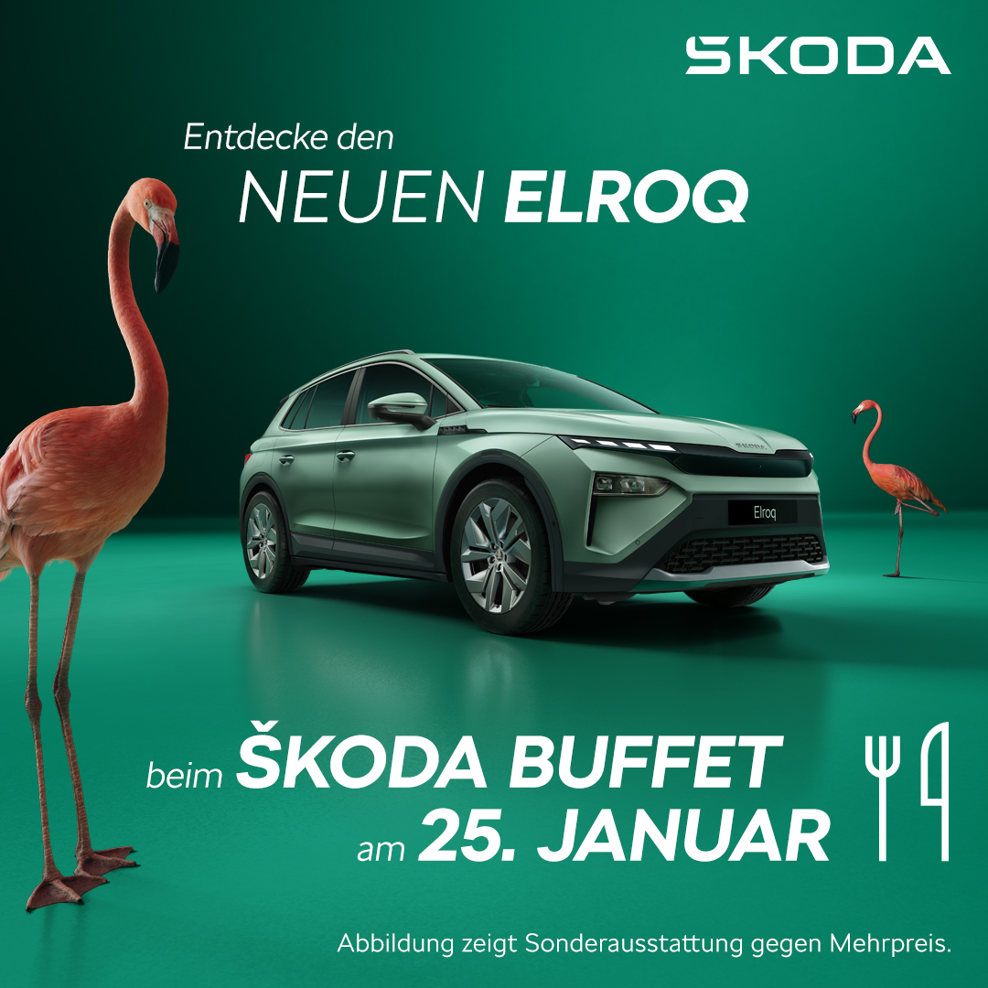Skoda Buffet 2024